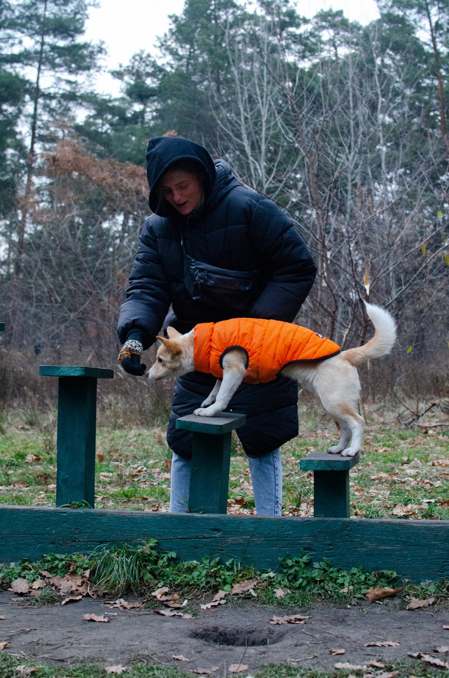 Top Dog Care Mistakes to Avoid