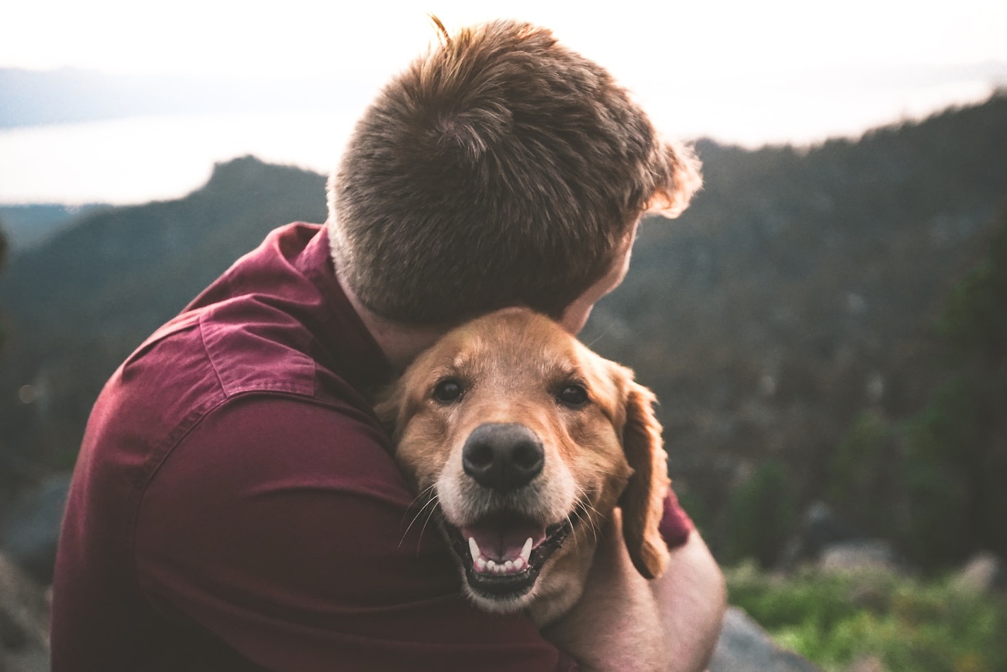 Benji’s Guide to Stress-Free Vet Visits